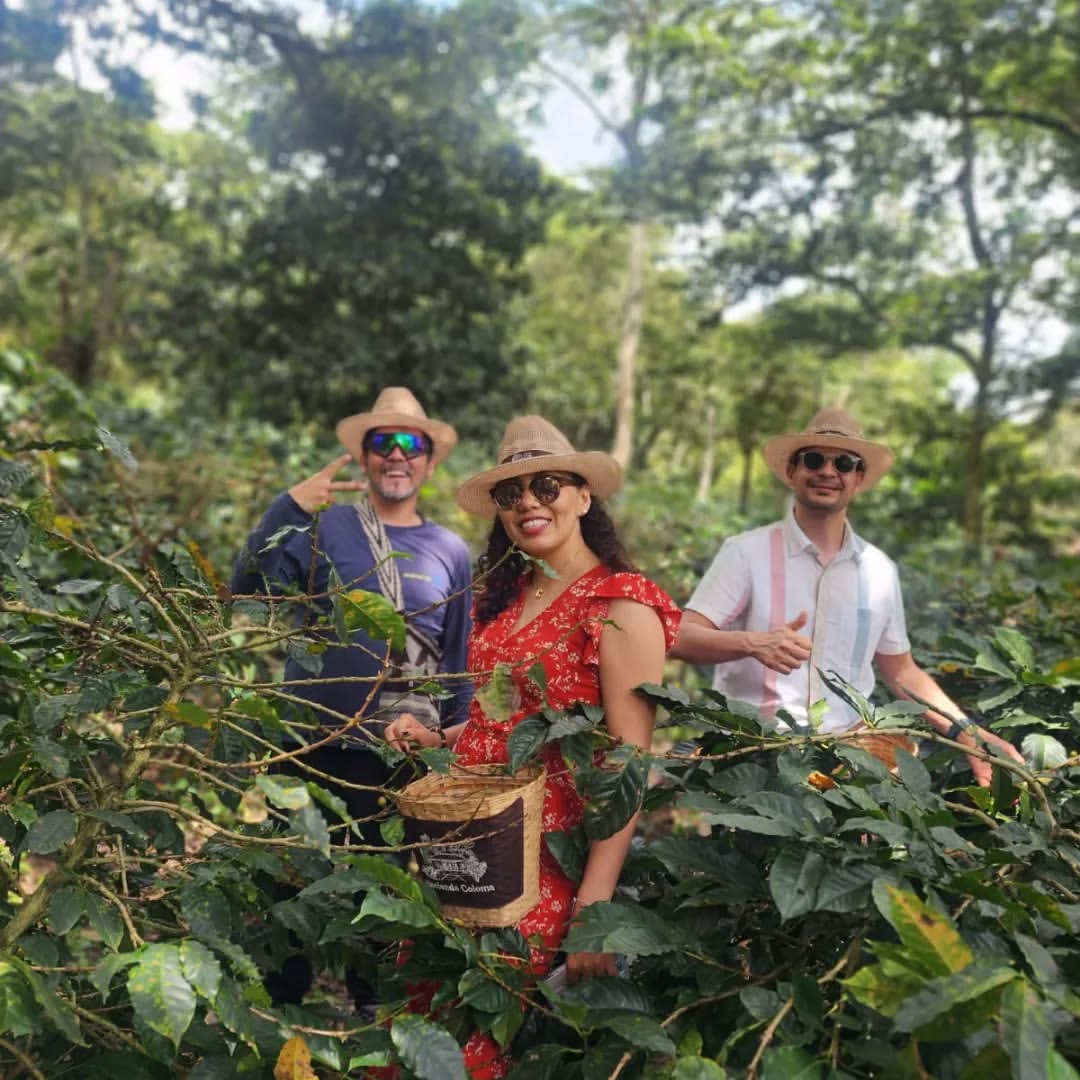 Hacienda Cafetera Coloma